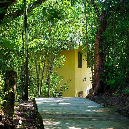 Amber Sunset Jungle Resort San Ignacio Exteriör bild