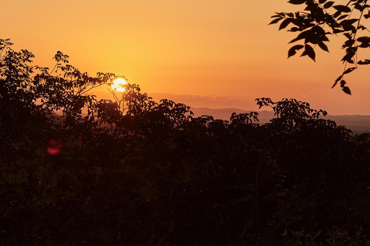 Amber Sunset Jungle Resort San Ignacio Exteriör bild