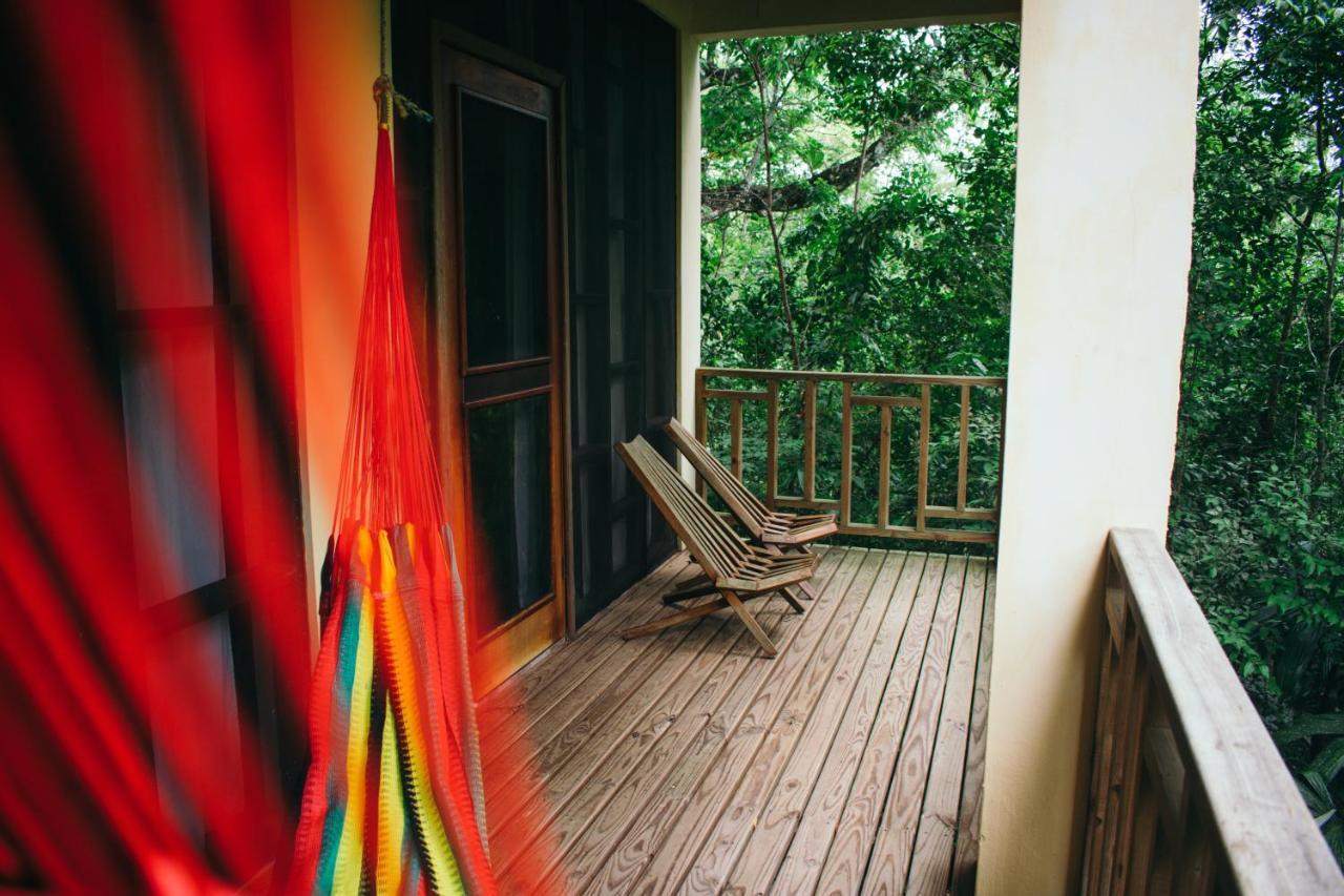 Amber Sunset Jungle Resort San Ignacio Exteriör bild