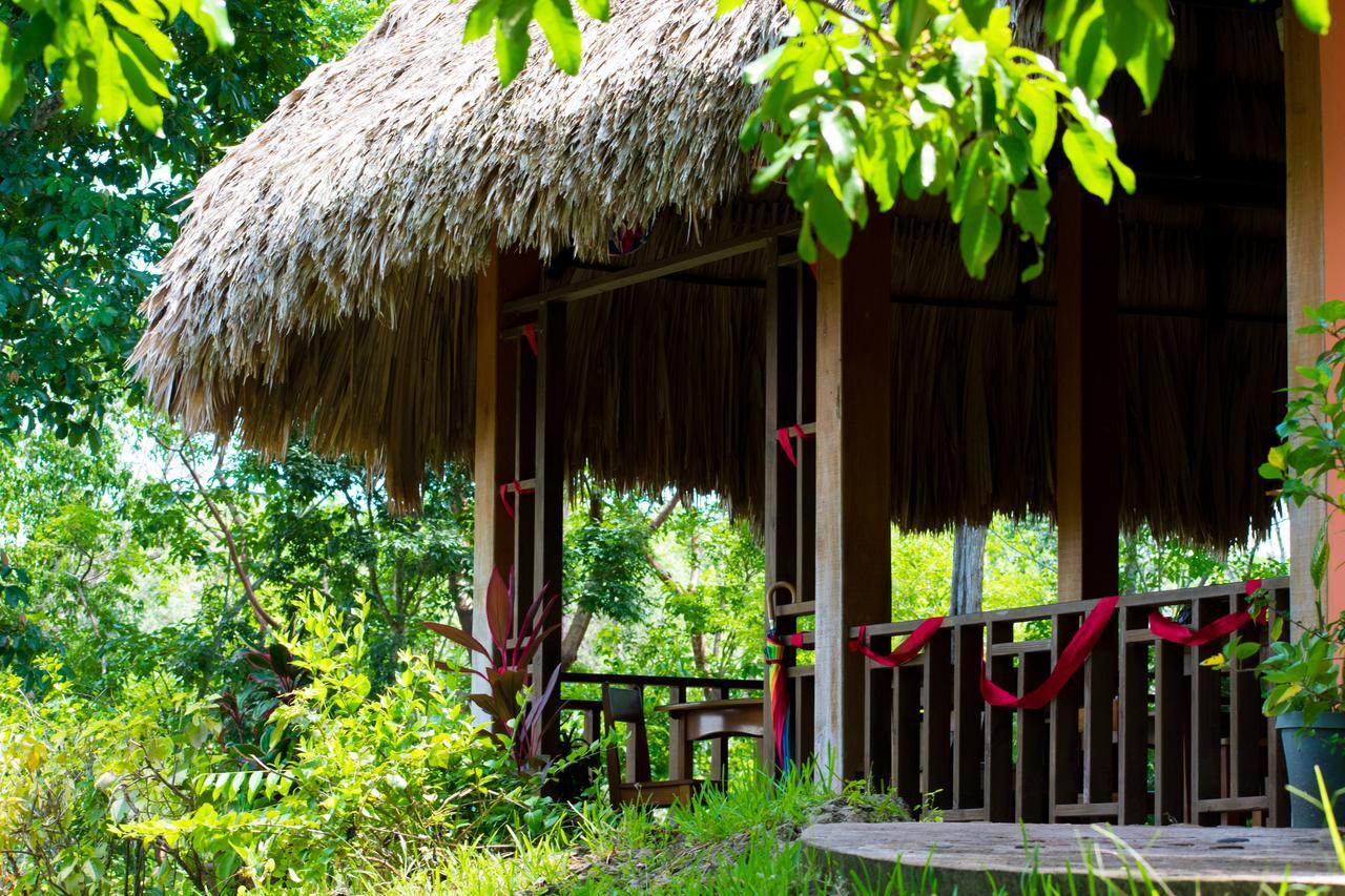 Amber Sunset Jungle Resort San Ignacio Exteriör bild
