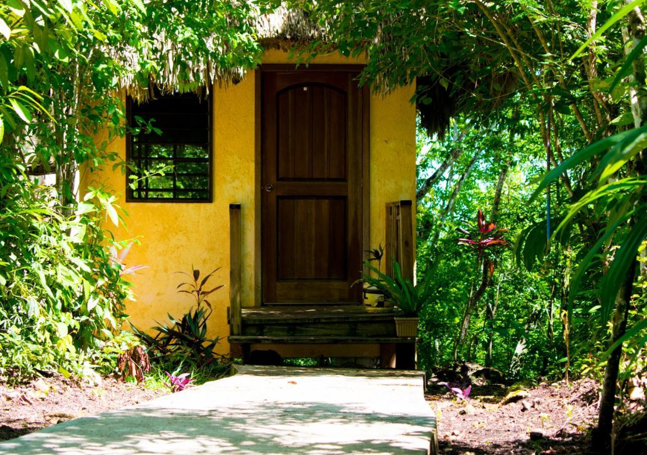 Amber Sunset Jungle Resort San Ignacio Exteriör bild