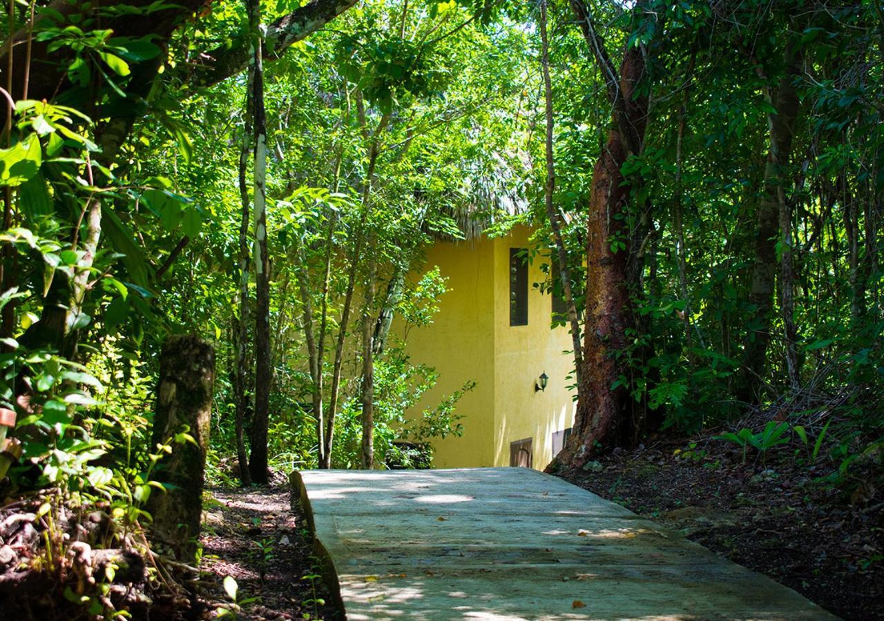 Amber Sunset Jungle Resort San Ignacio Exteriör bild